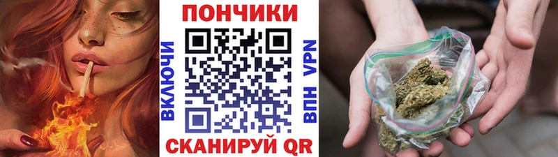 наркота  Чадан  Шишки марихуана THC 21% 